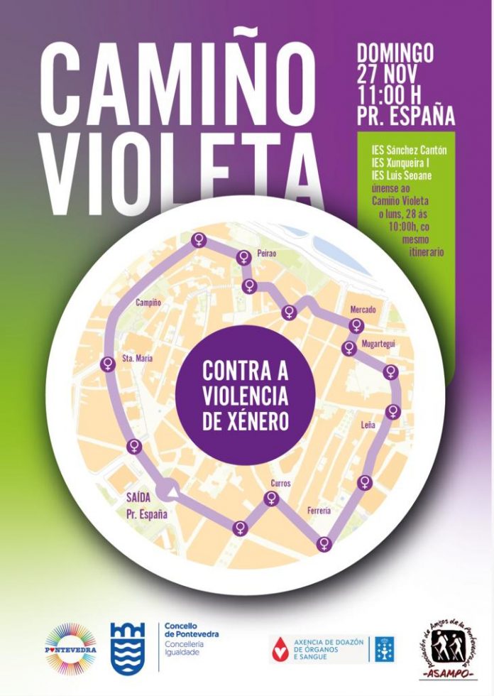 Cartel Camiño Violeta 2022